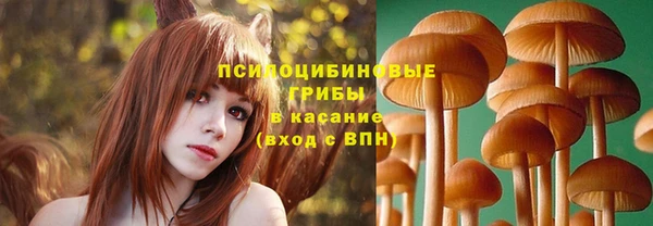 соль курить ск Бежецк